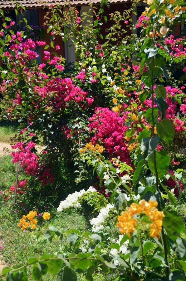 Arya Homestay Bougain Villa 고카르나 외부 사진